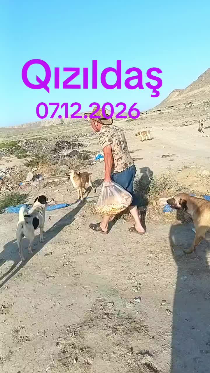 @Sahibsiz heyvanlara dəstək