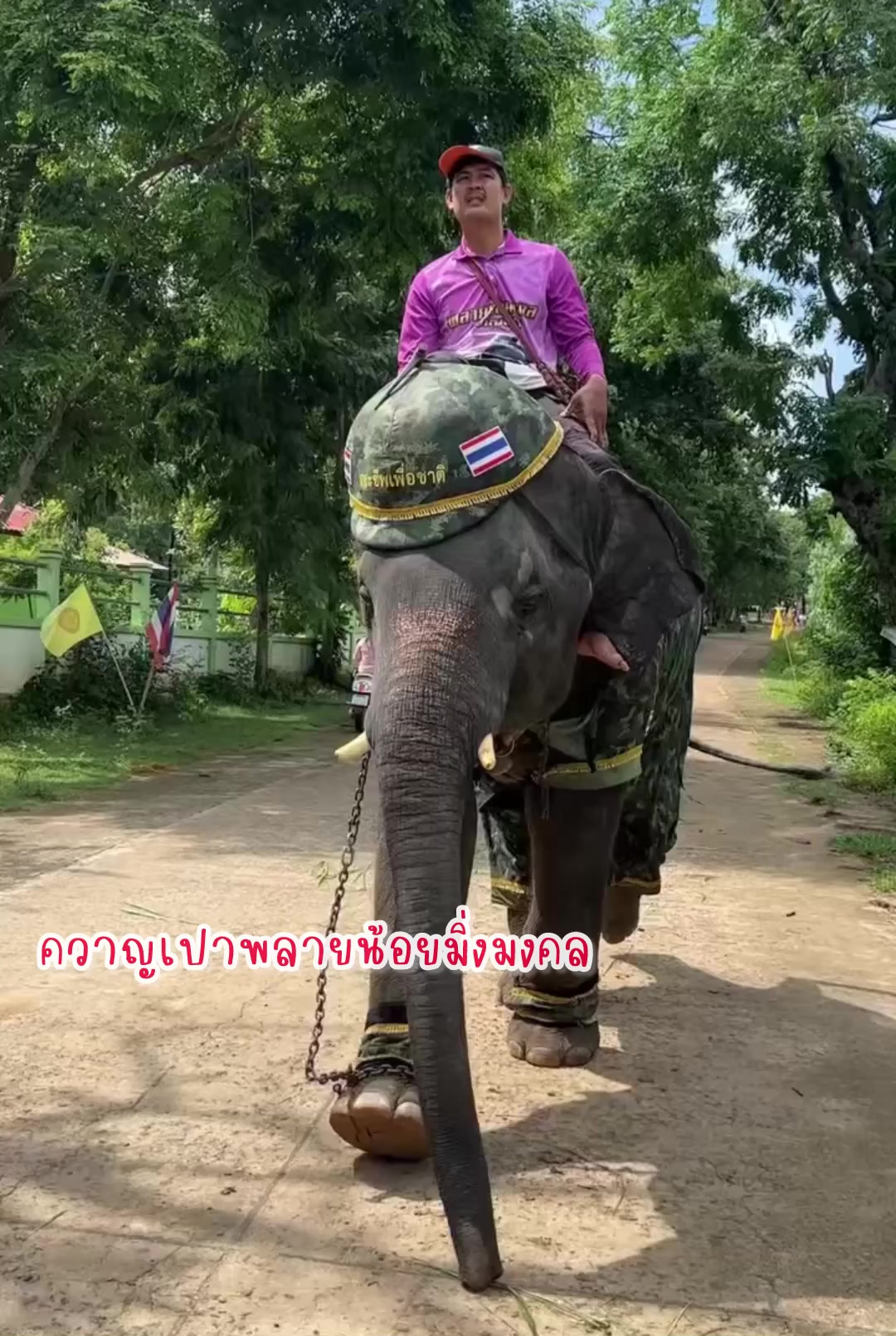 @aoraeeFcMooming🐘❤️