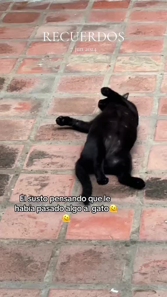 @Mar&iacute;a Betania