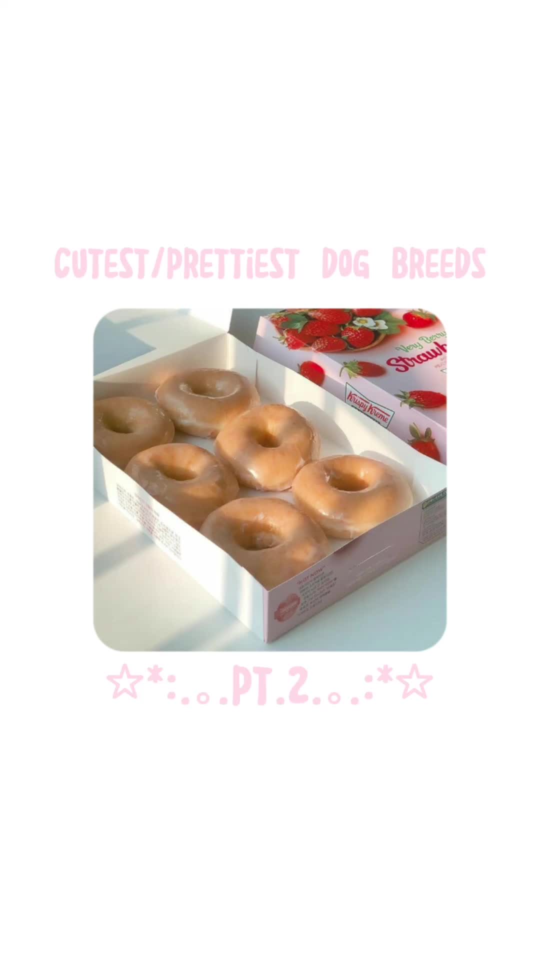 @♡𝑚𝑖𝑙𝑘𝑦𝑟𝑥𝑠𝑒♡