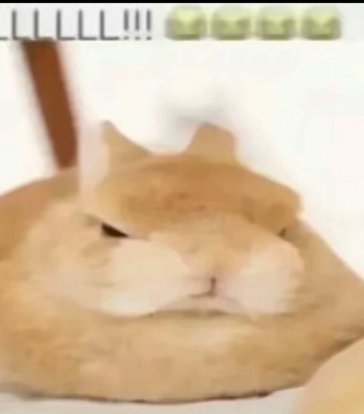 @โ๐๐ท๐ แถป ๐ ๐ฐ .แ