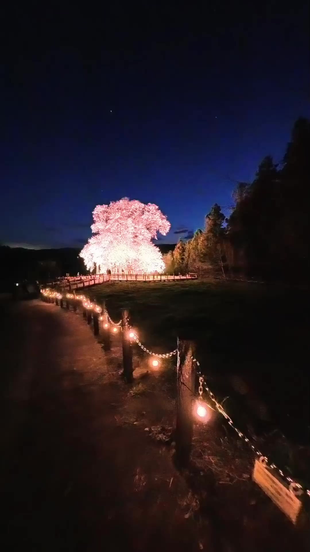 @tabi japan
