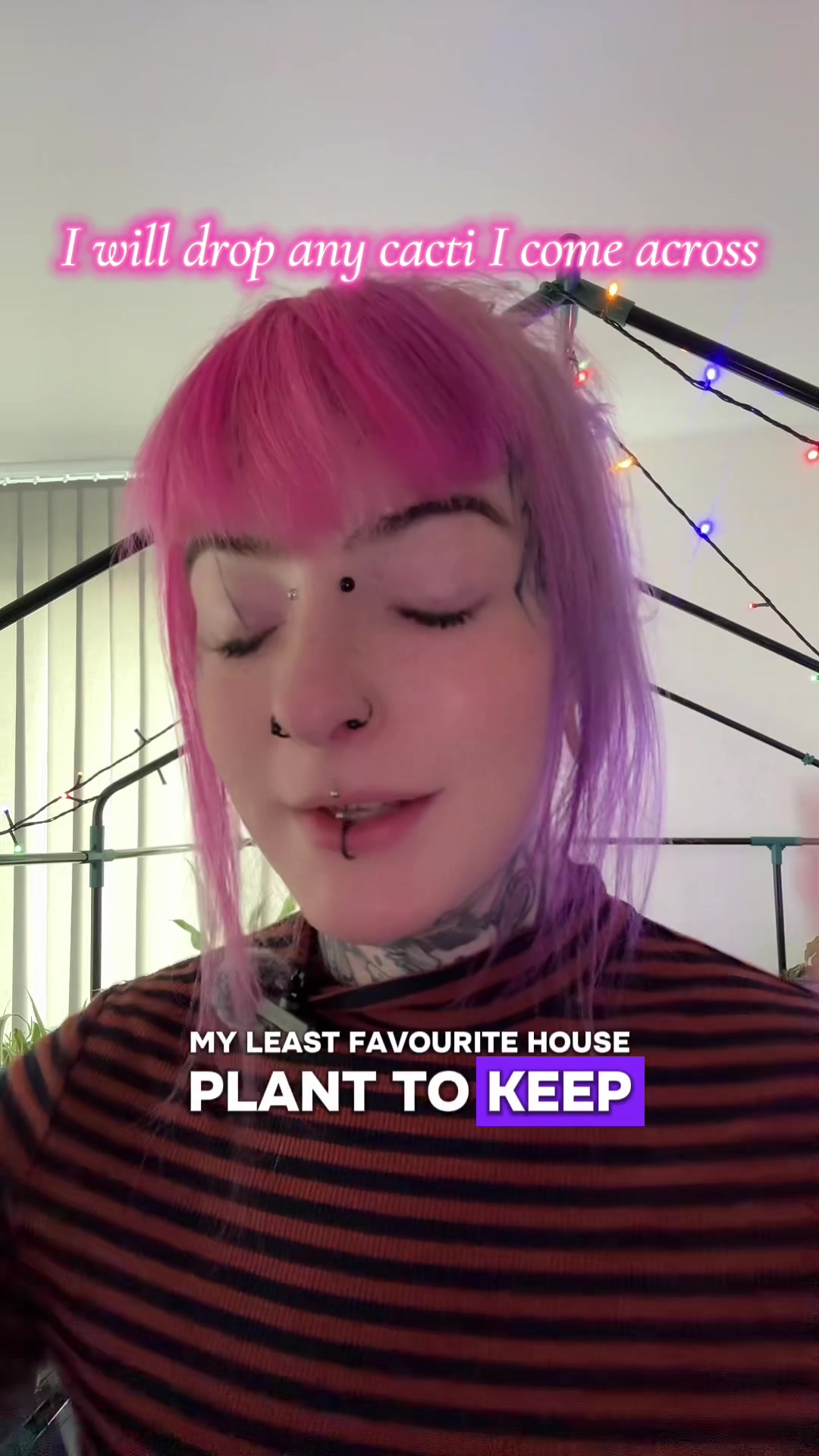 @darkxbrew