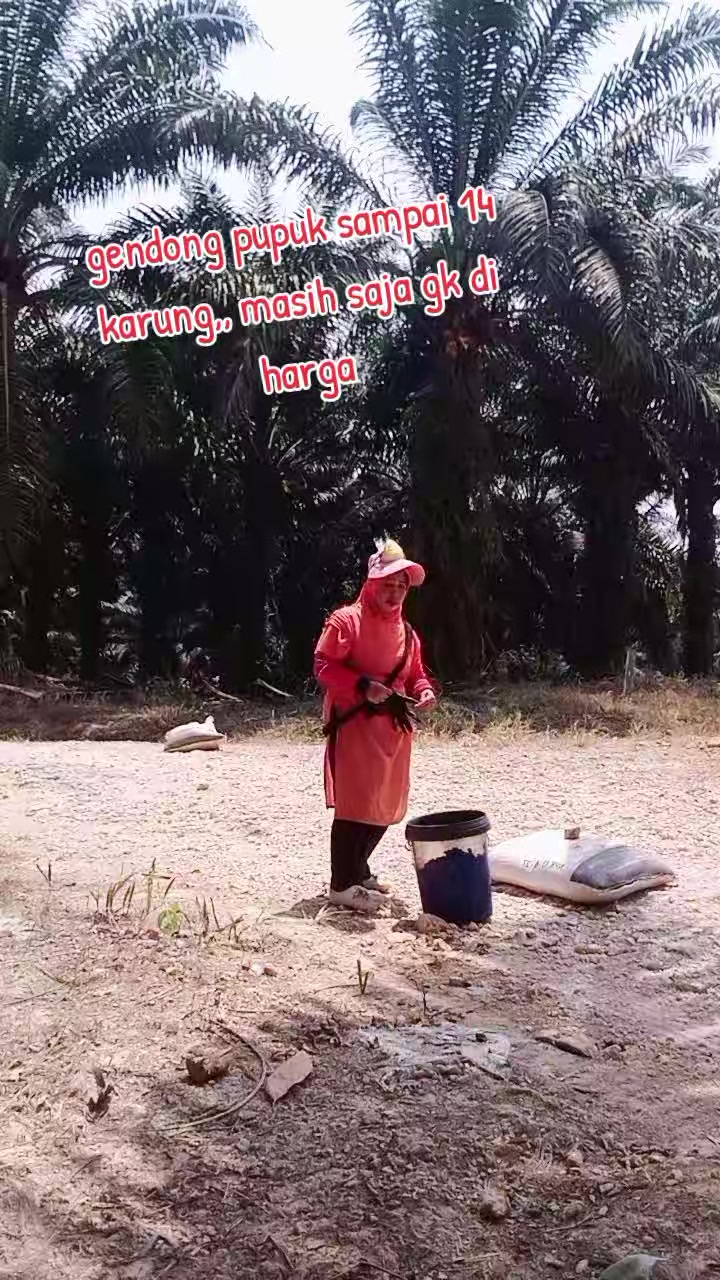 @wulandari