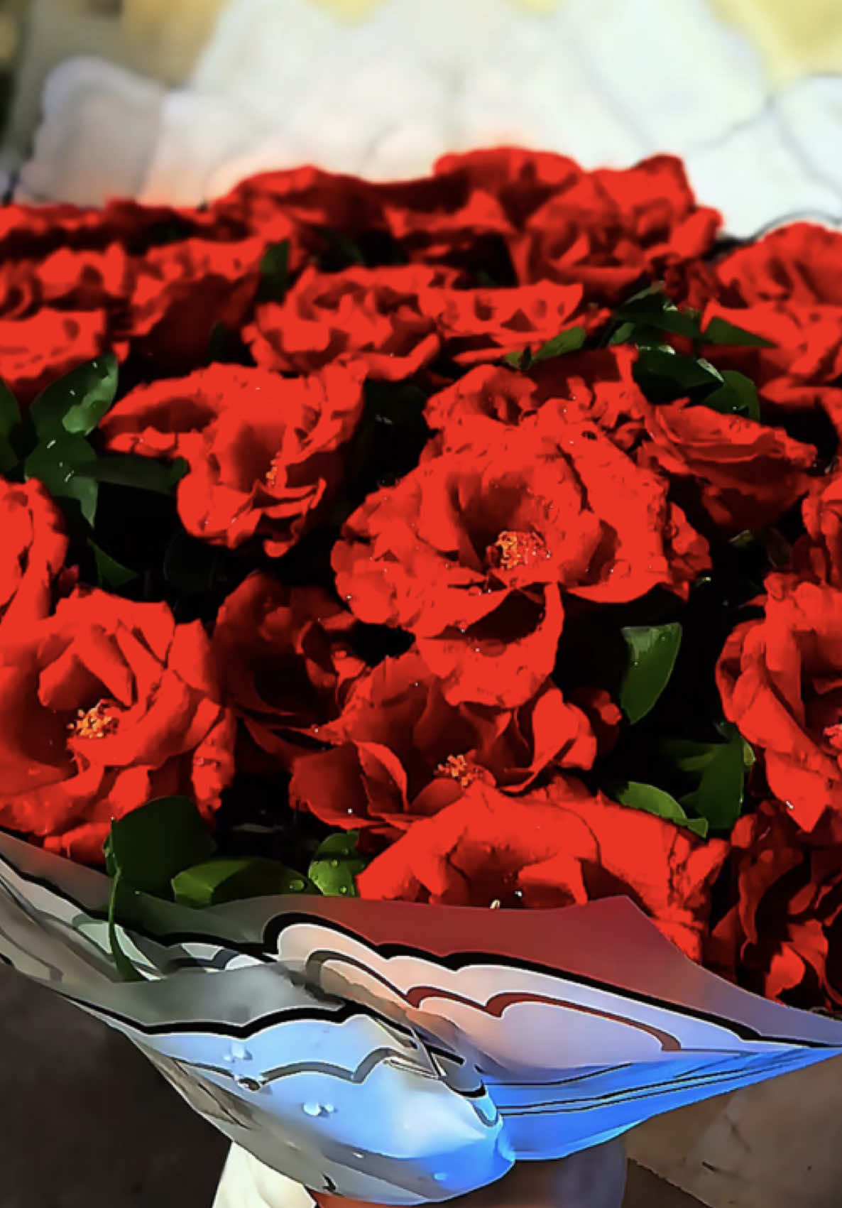 @👑 𝑸𝑼𝜠𝜠𝑵 𝑮 👑