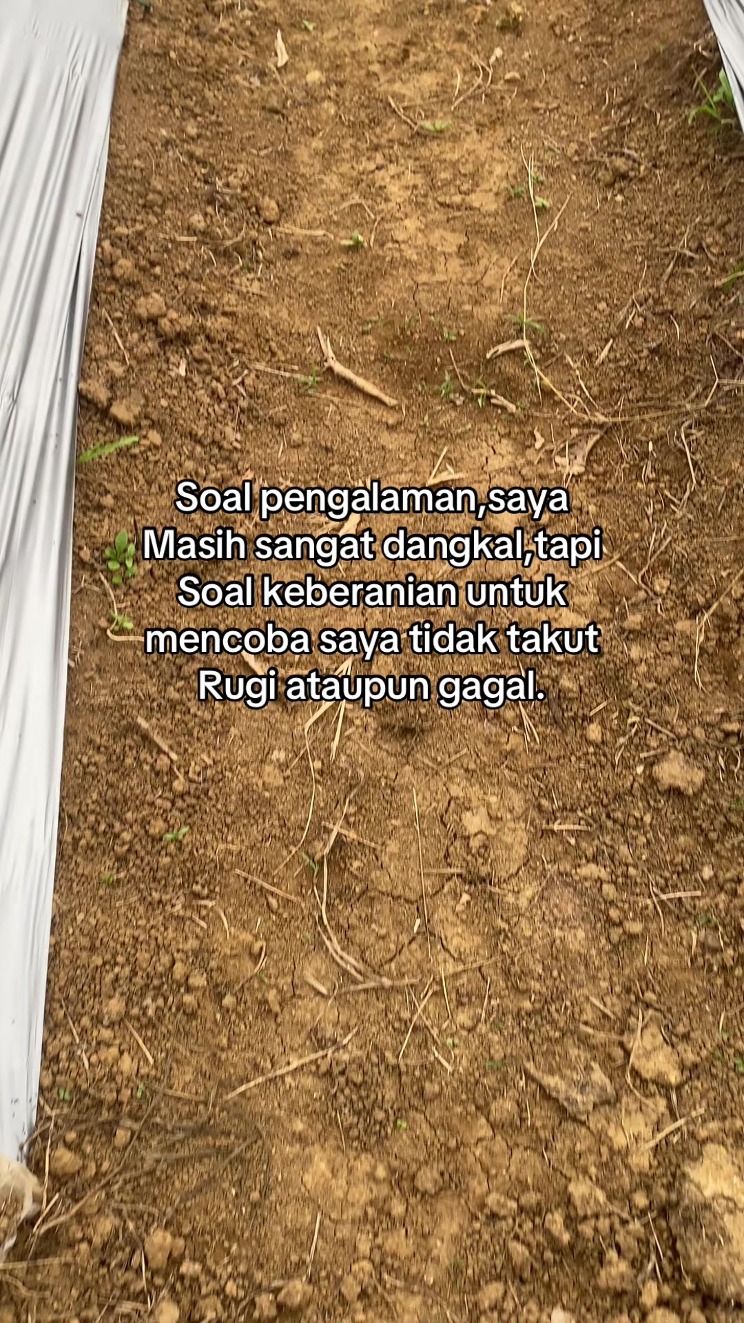 @perintis. muda