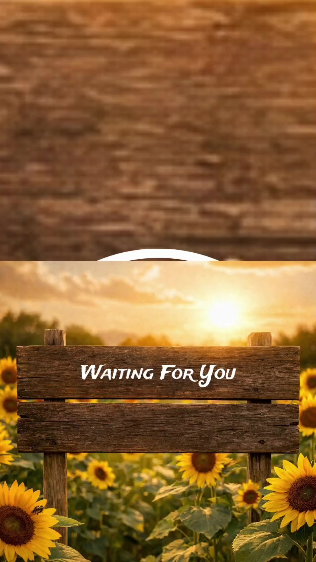 @ꜱᴏɴɢ ʟʏʀɪᴄꜱ