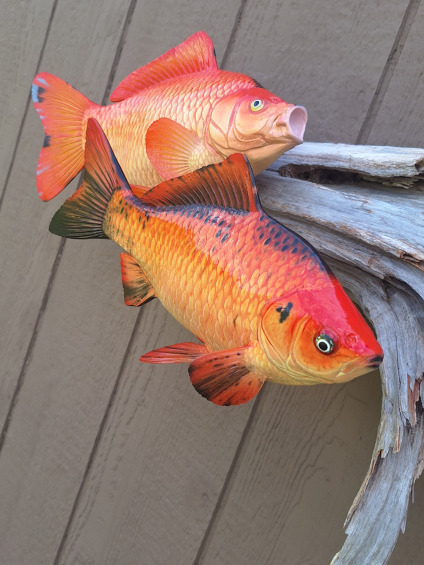 @SouthernScalesFishTaxi