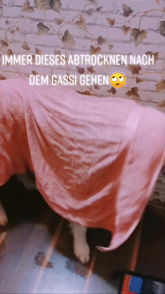 @leila