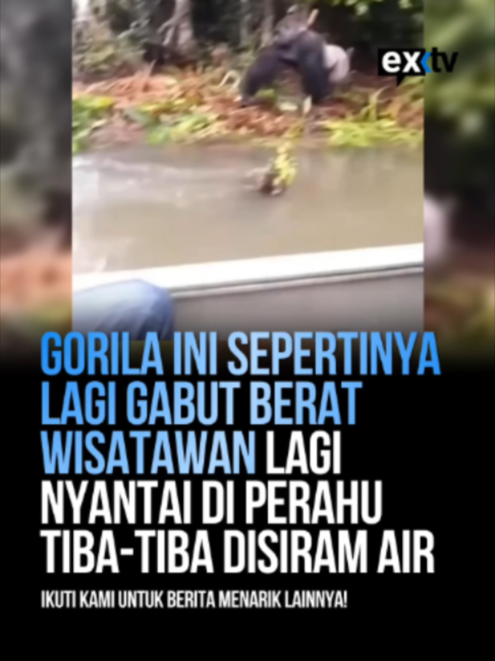 @Expressi Media