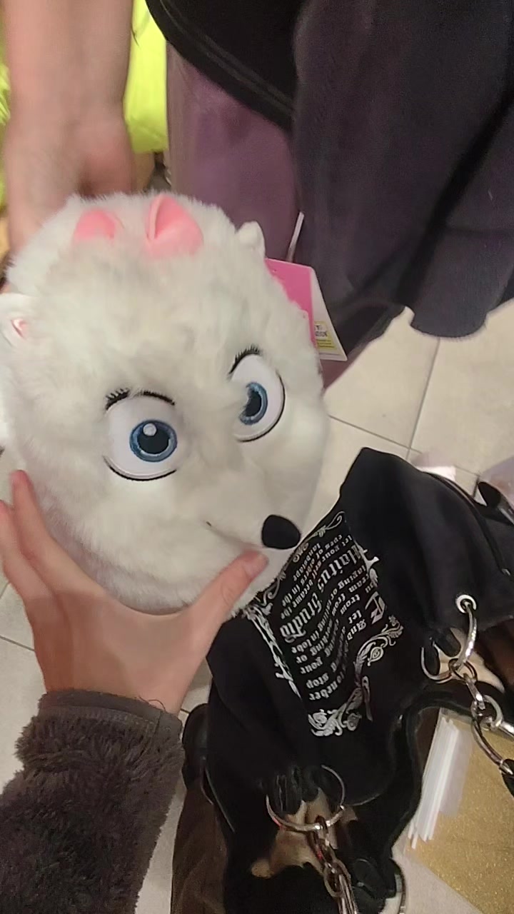 @ᴡʜᴀᴛ?:3