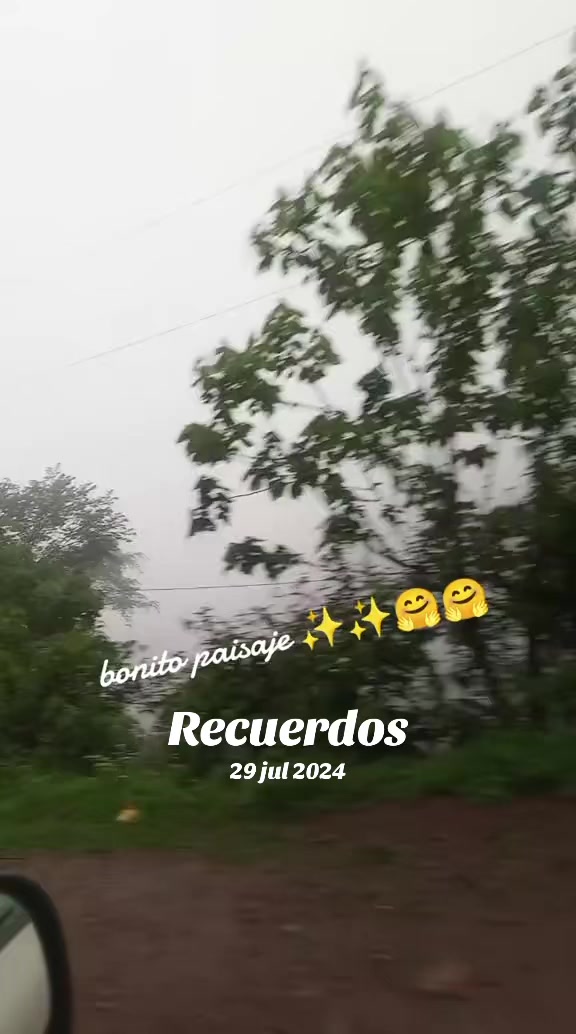 @✨🦋Flor🦋✨🌻🏀