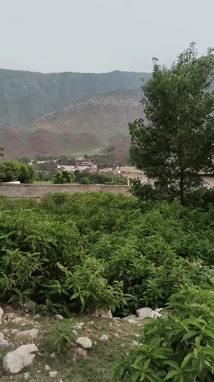 @mkhanafridi22