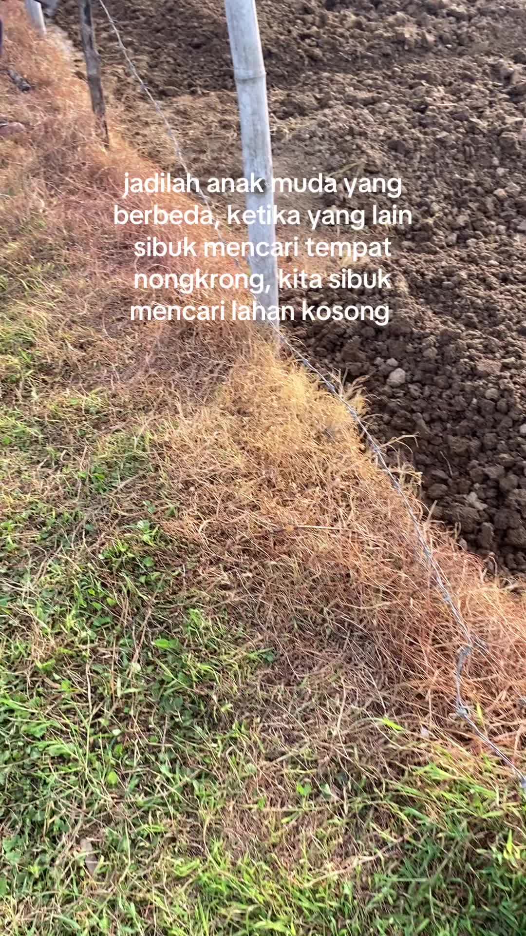 @arief fj