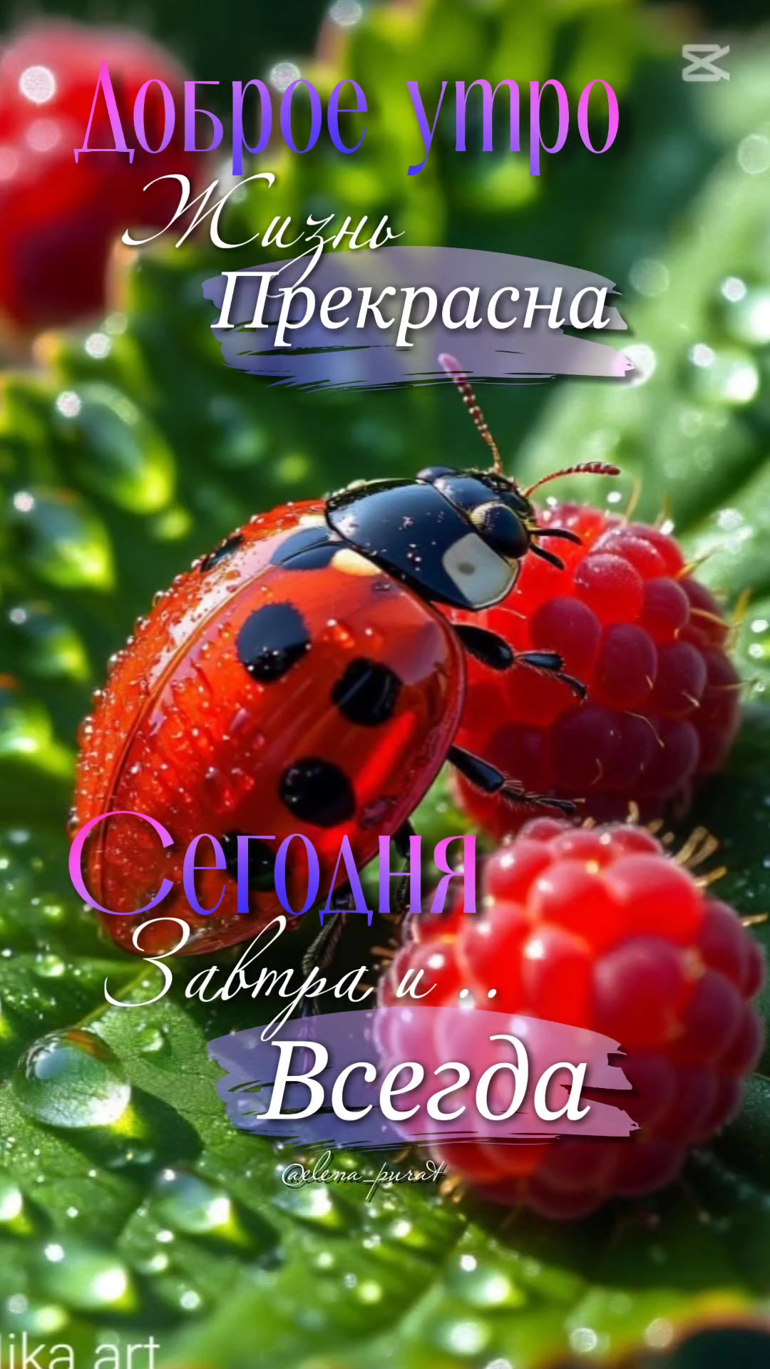 @ВидеоПОЗОР🙈😅