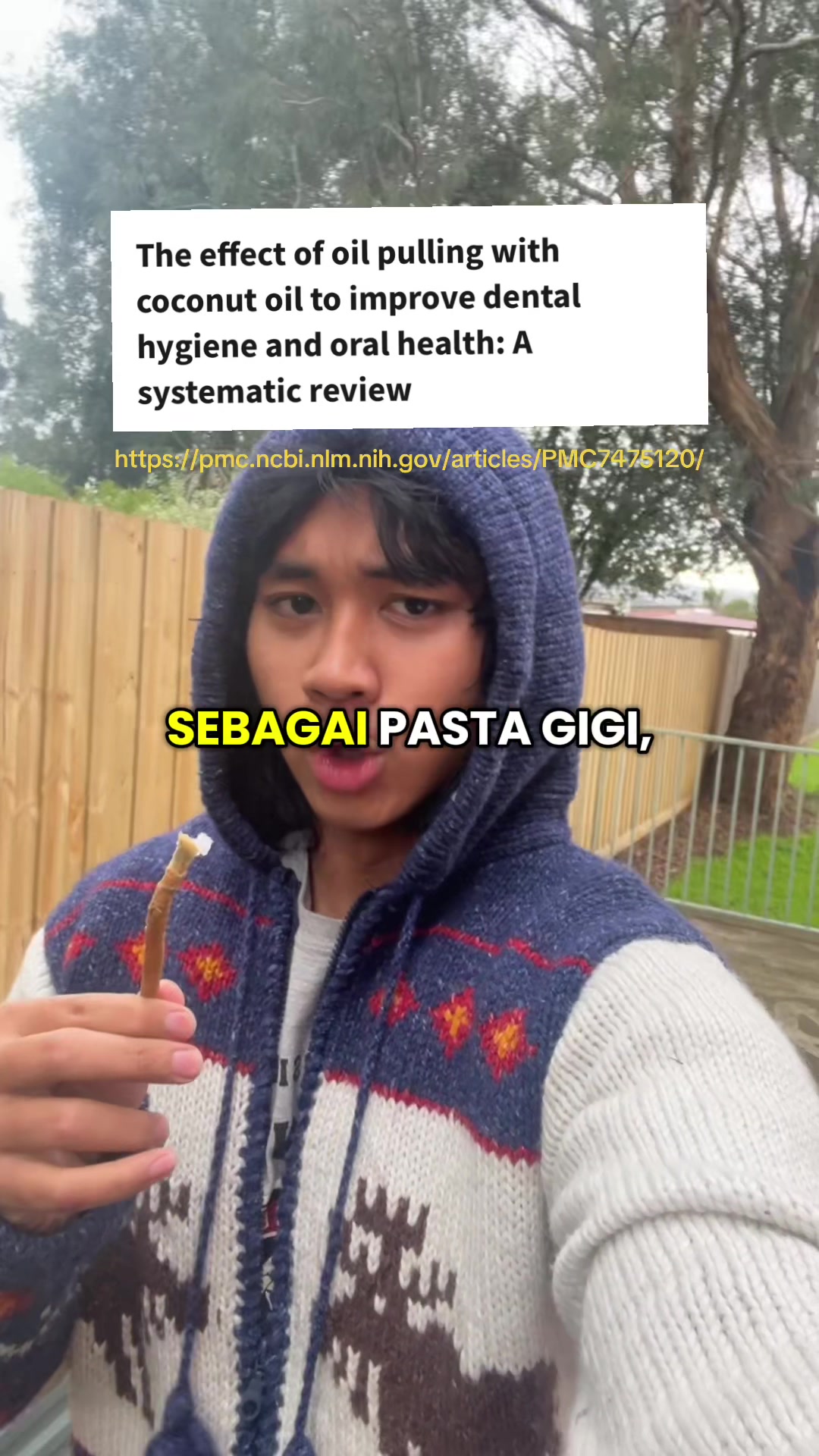 @orangberjemur