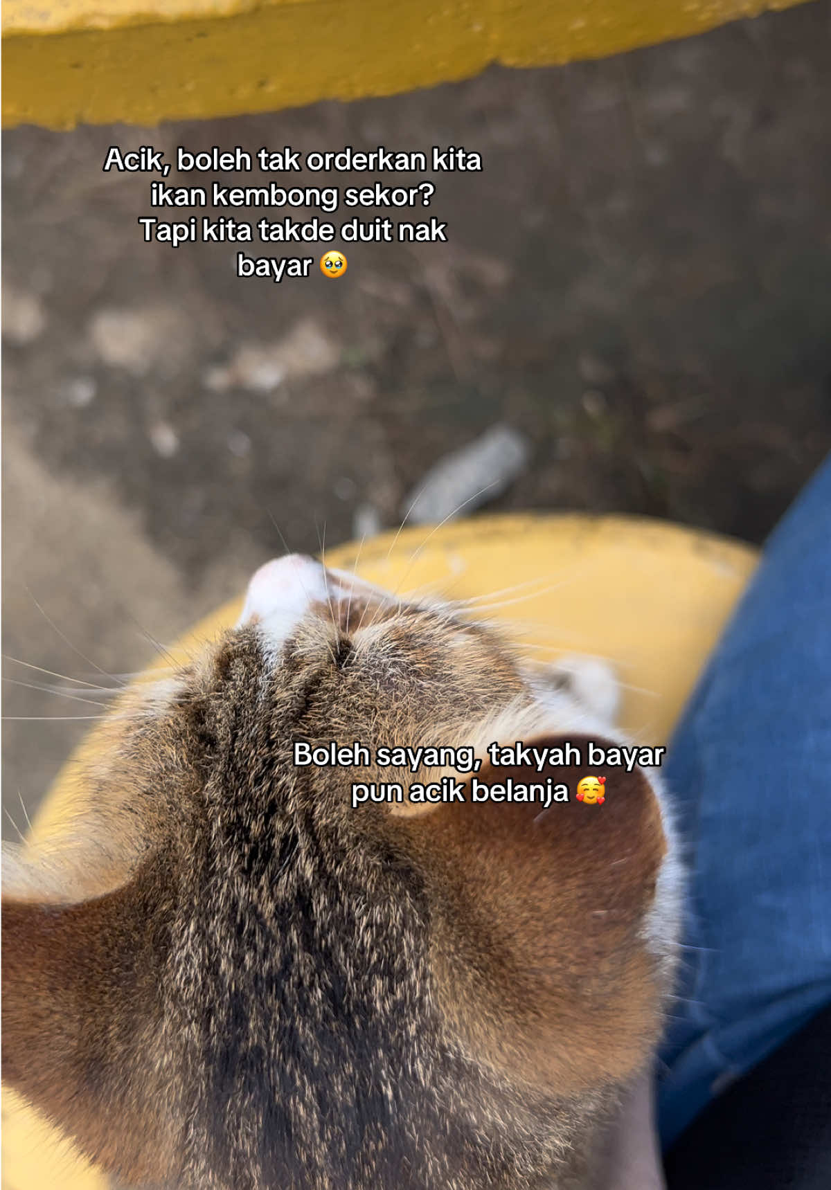 @Akmarina Mohd Zaki