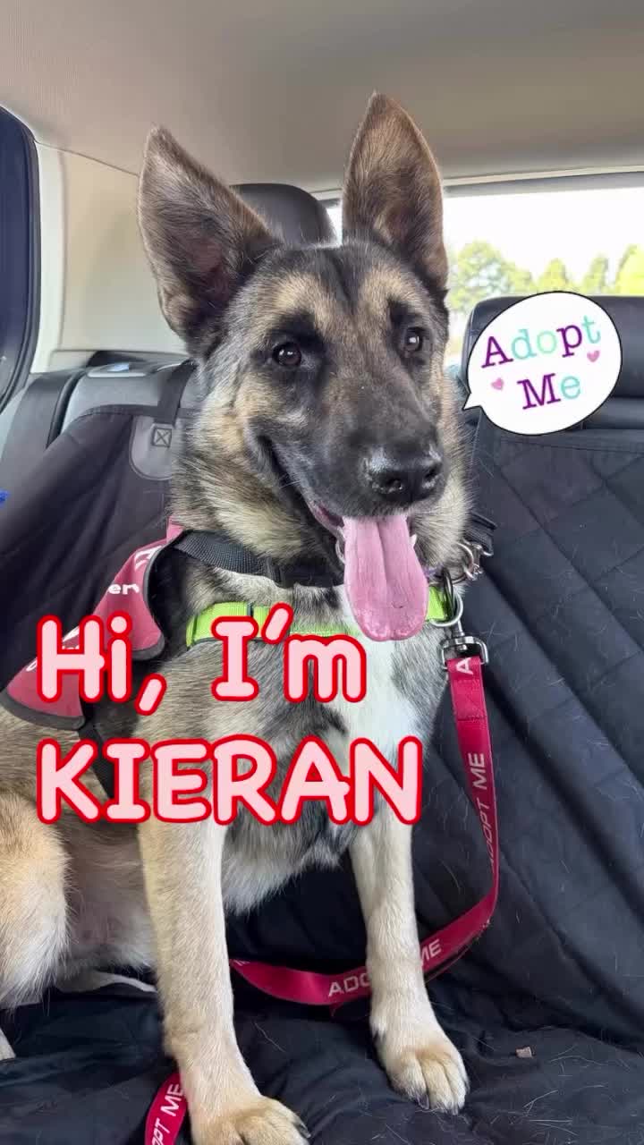 @Oakland Animal Services