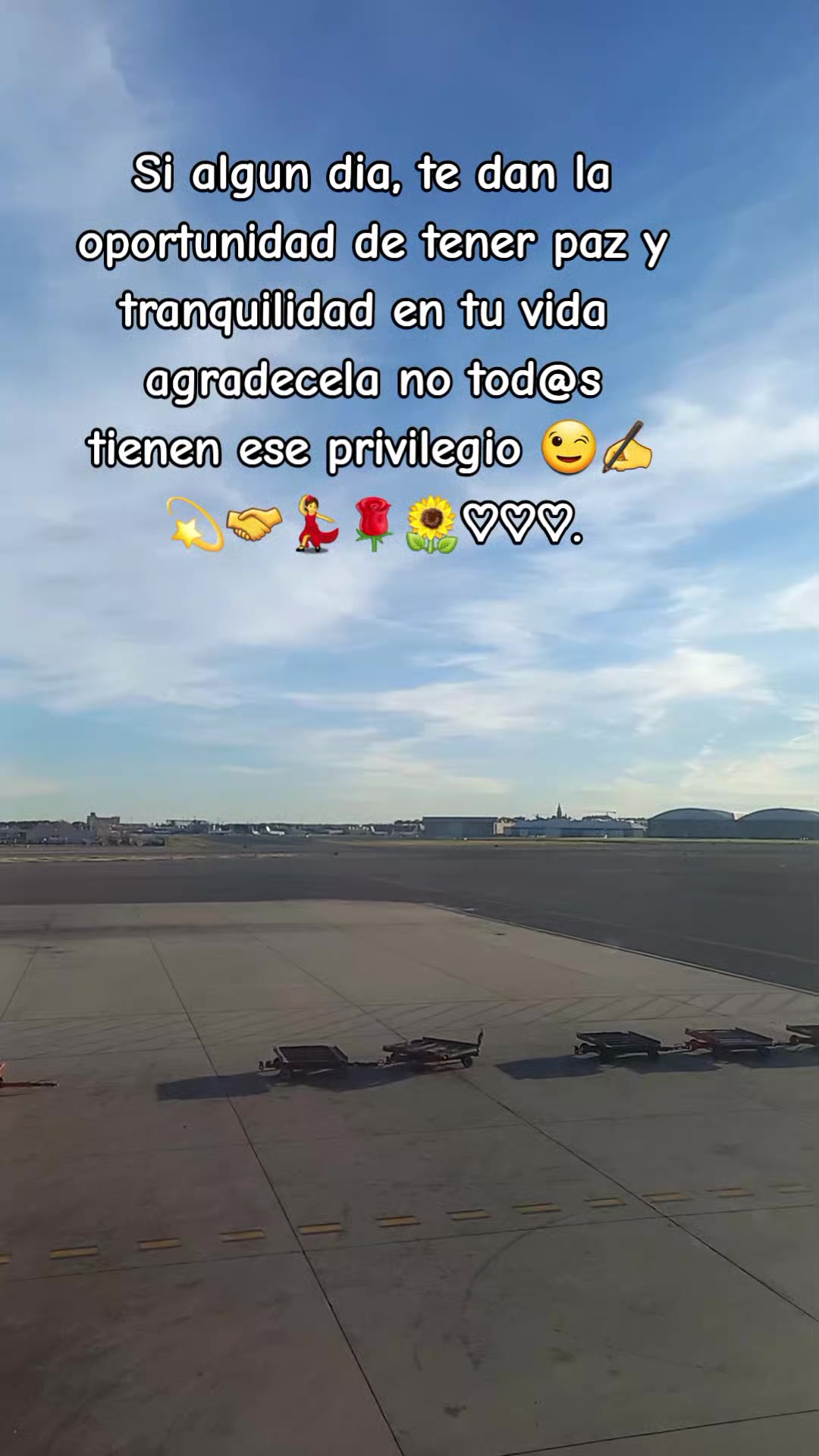 @Godoy Garcia te sigue 🤝💫🌻.