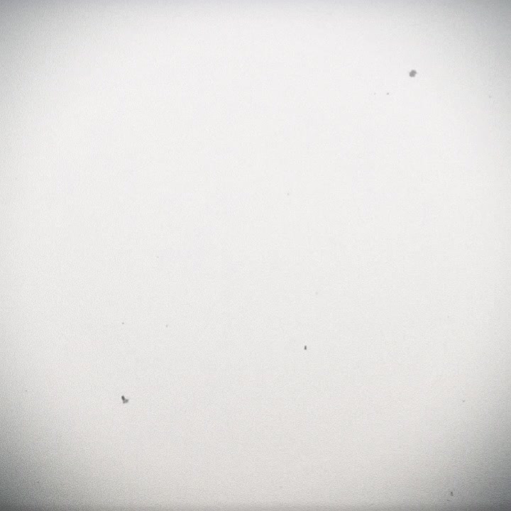 @𝓁ℯ𝓃𝒹𝒾.𝓈𝓌ℯℯ𝓉✵