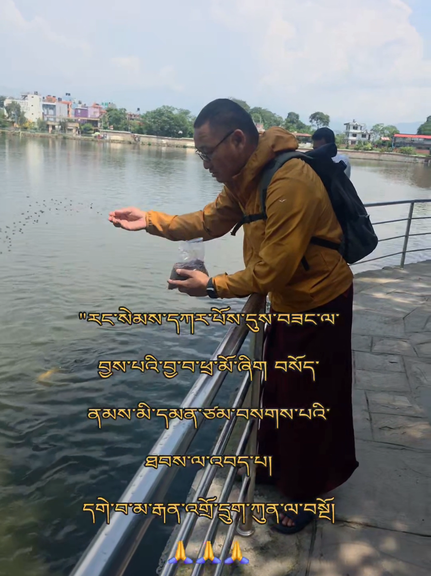 @buchung_norbu_la