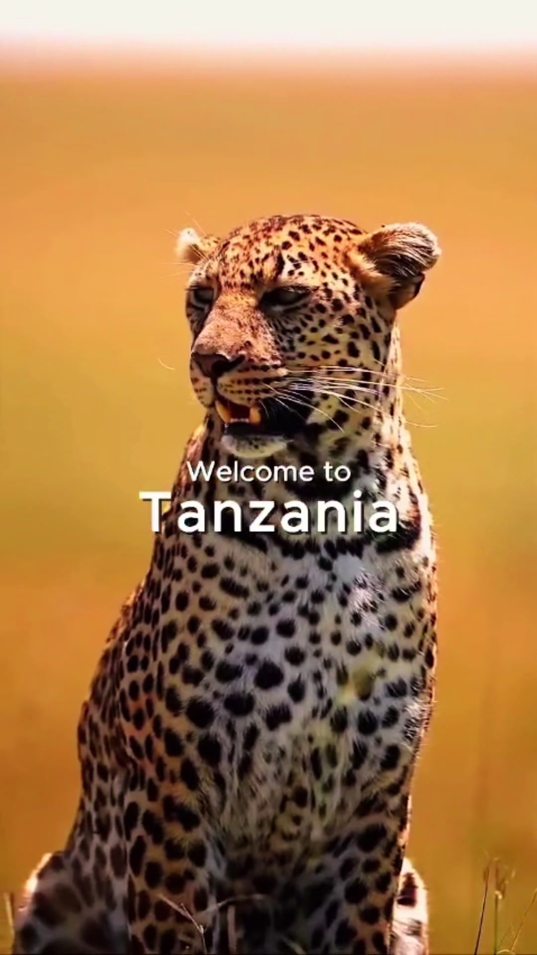@UissoAdventuresAndSafarisLtd