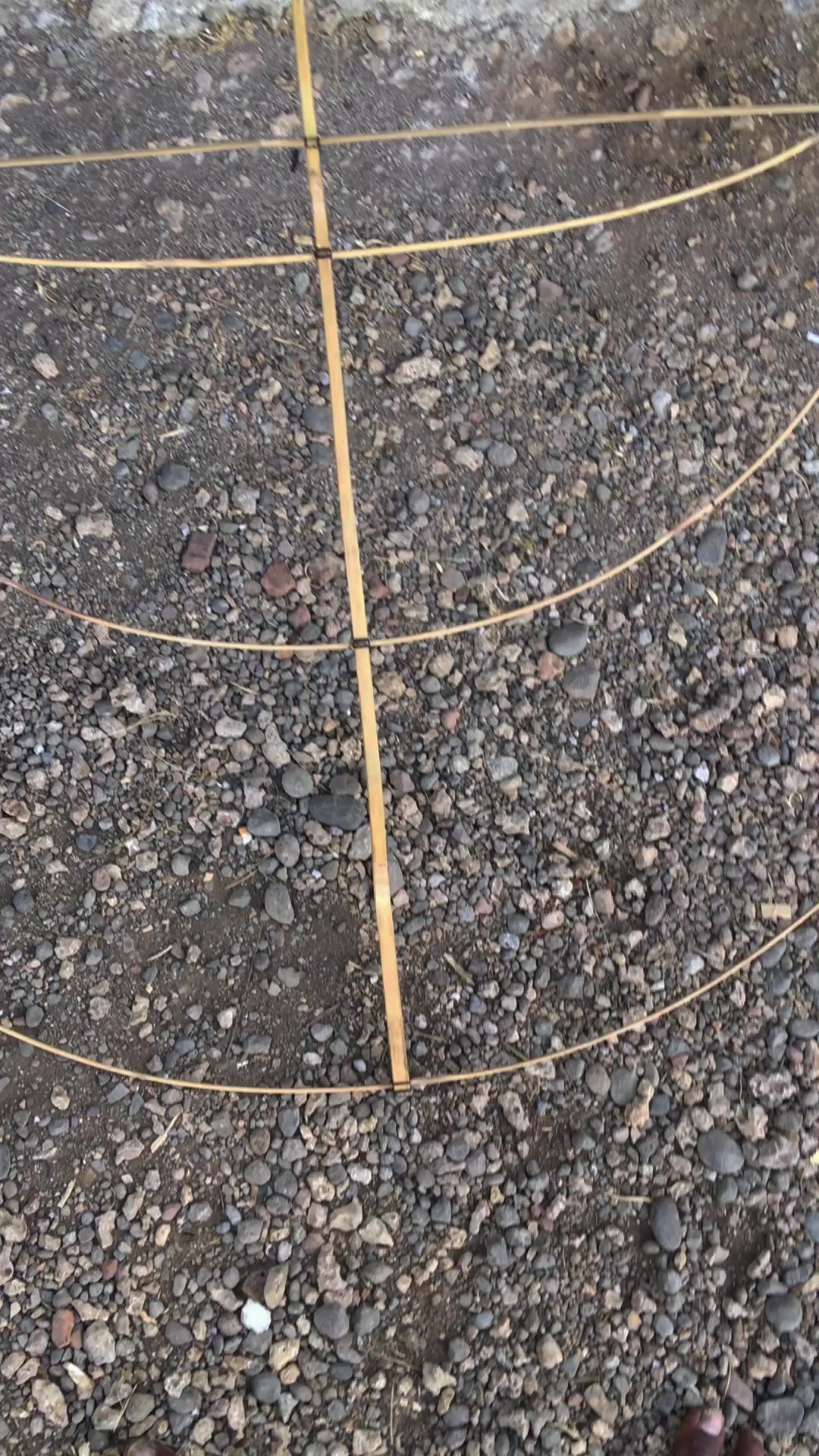 @𝘍𝘌𝘉𝘙𝘐𝘈𝘌.