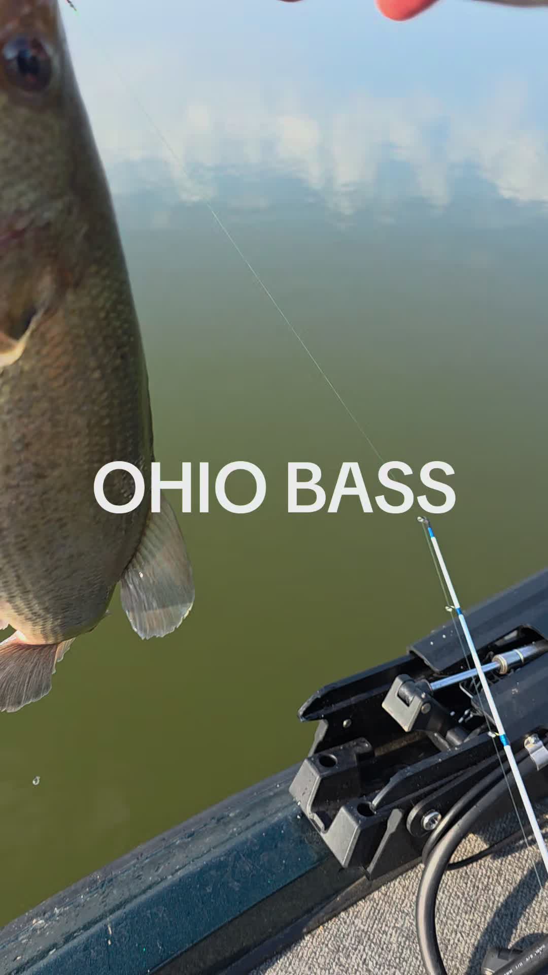 @3dprintedlures FWC