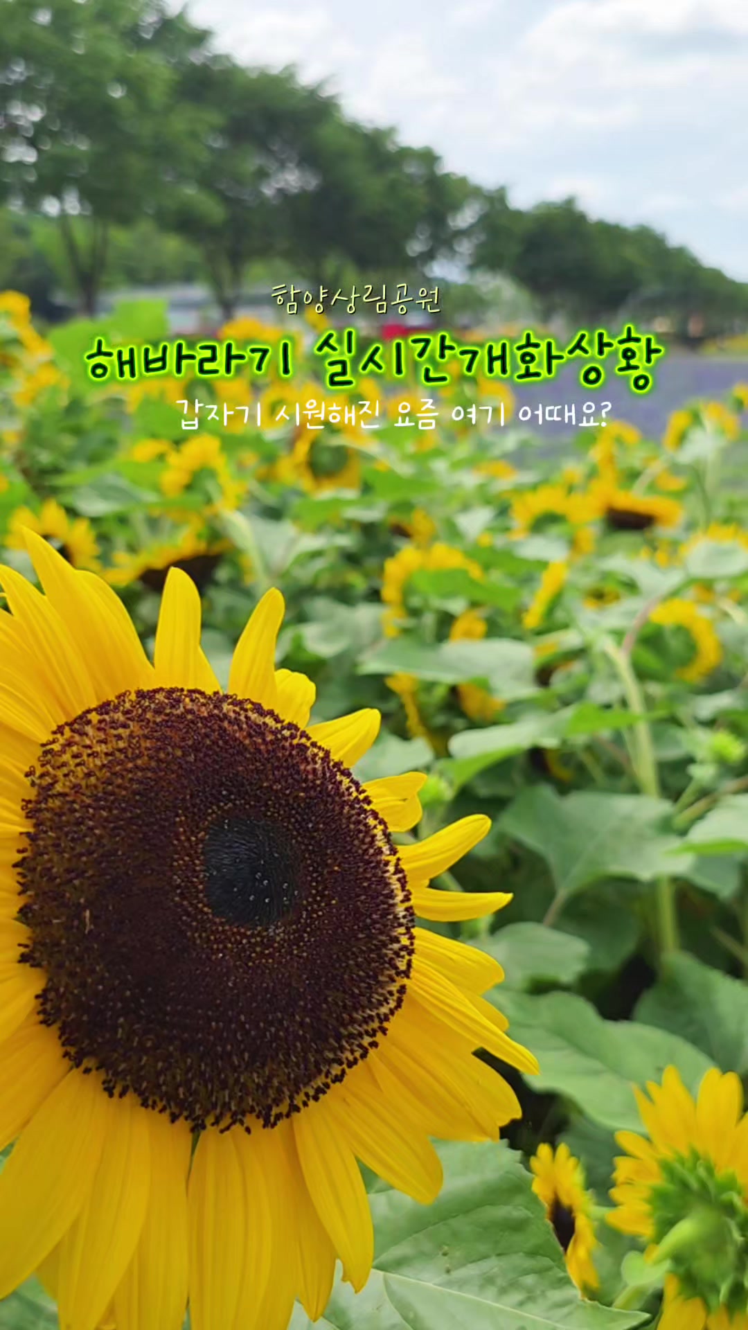 @ON로드 여행기