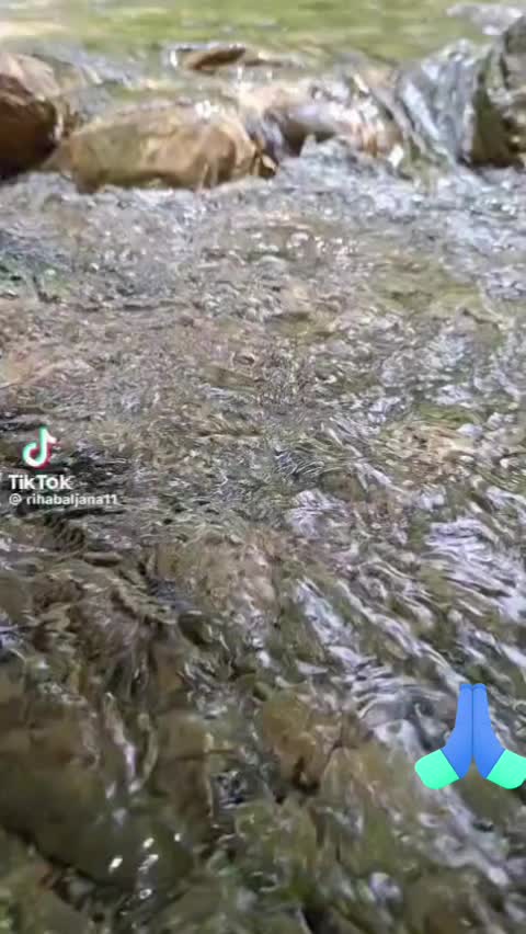 @ام المجد