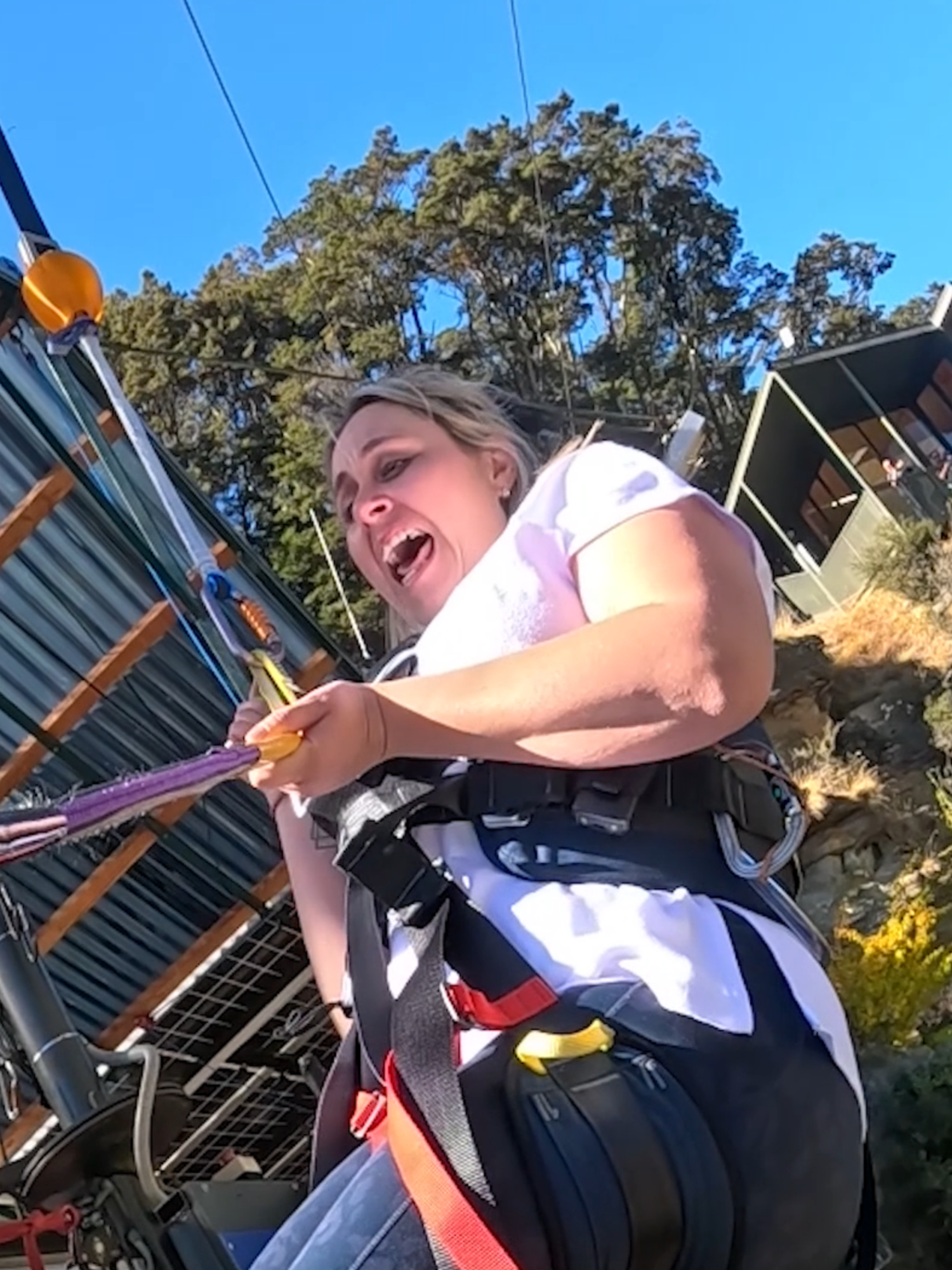@Shotover Canyon Swing