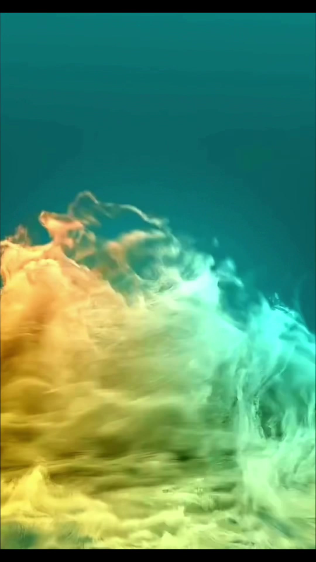 @Fernandocayambe