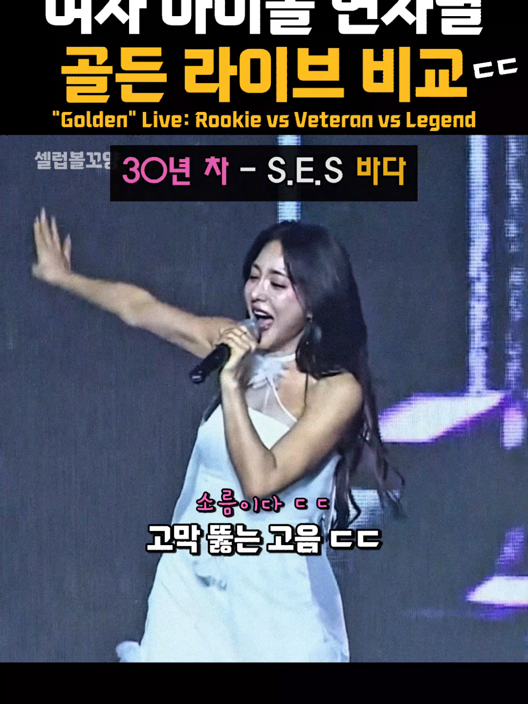 @셀럽볼꼬양