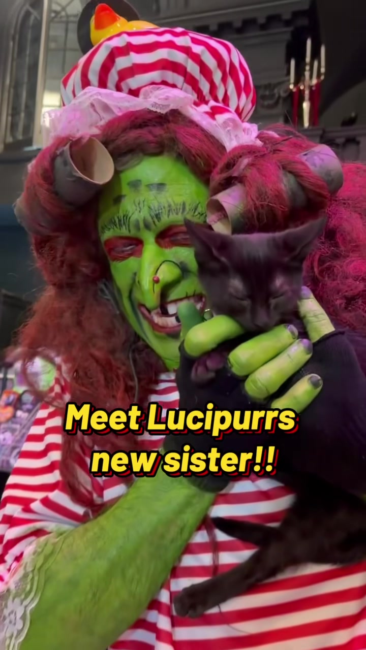 @Salem’s Black Hat Society