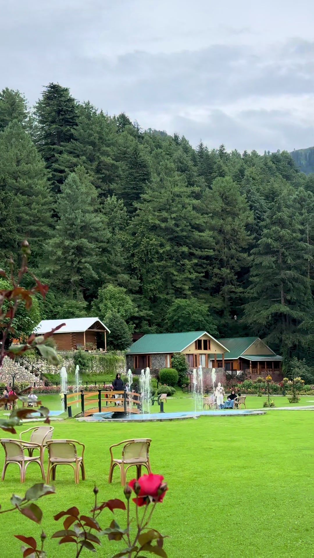 @Shogran Vibes