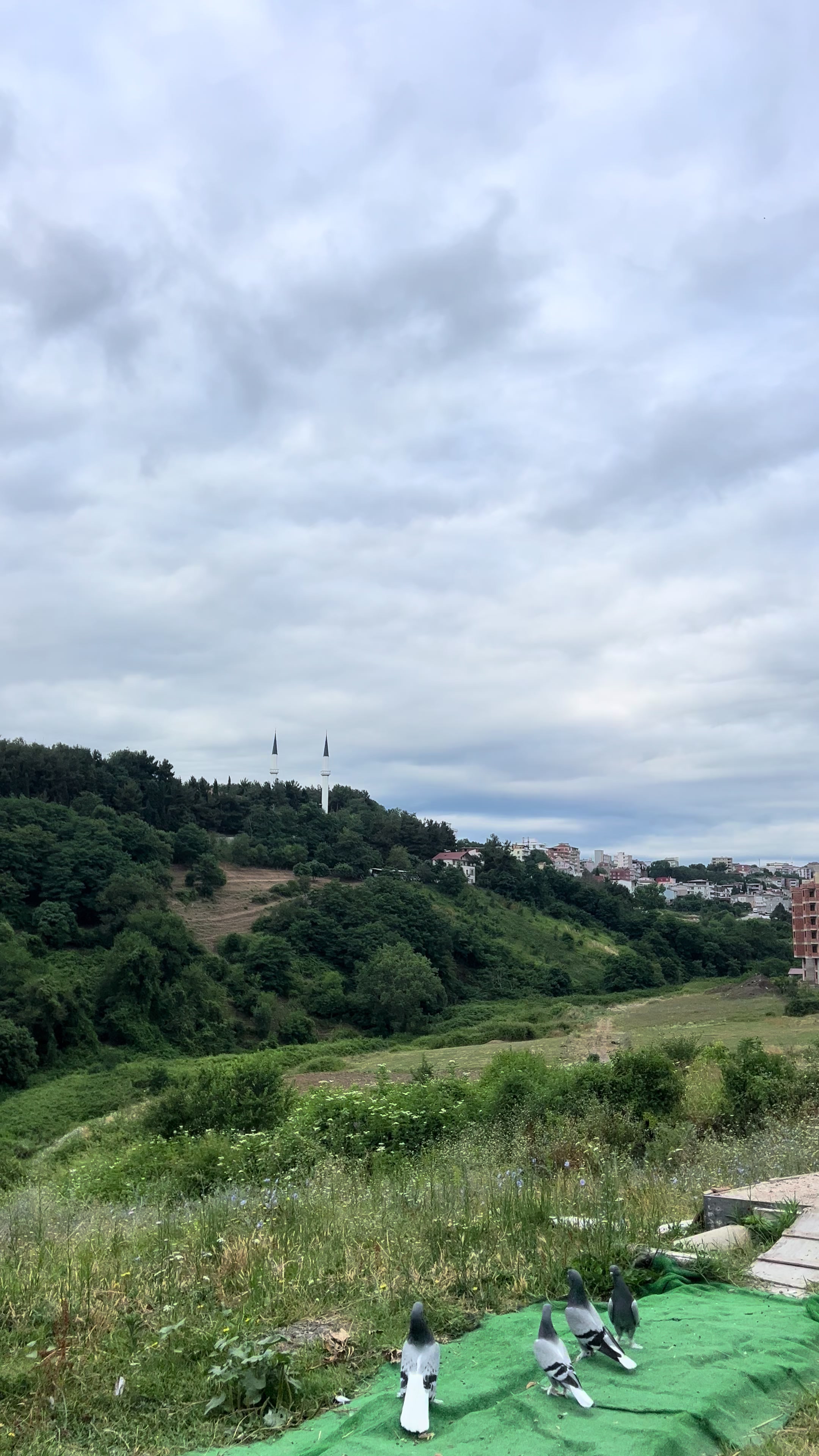 @Ufuk Ak&ccedil;ay MATADORLAR