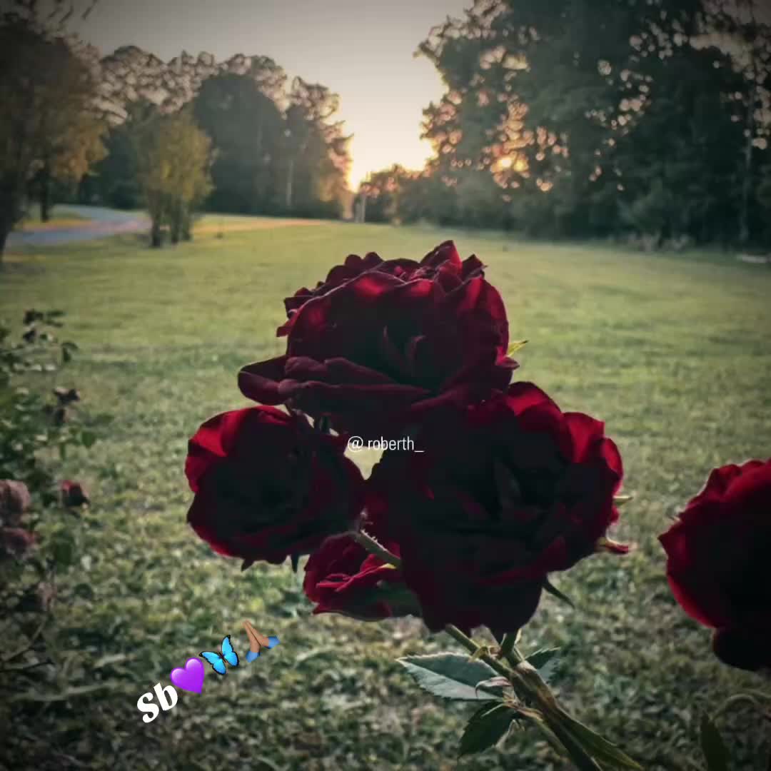 @Tity Bowen 🦋💜