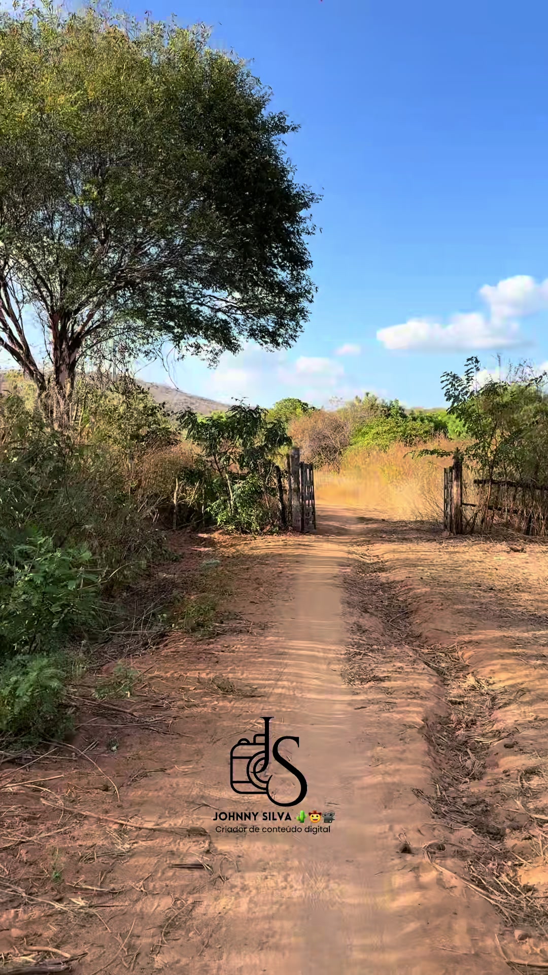 @johnnysilva 🤠🌵🎥