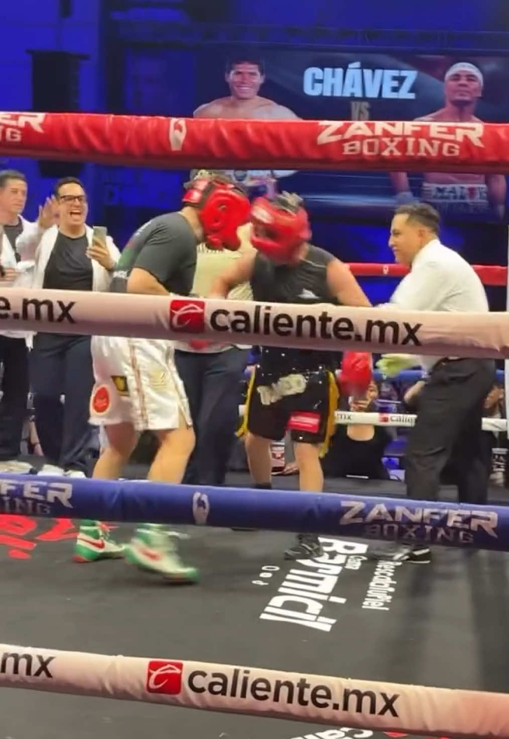 @Boxeo Inmortales