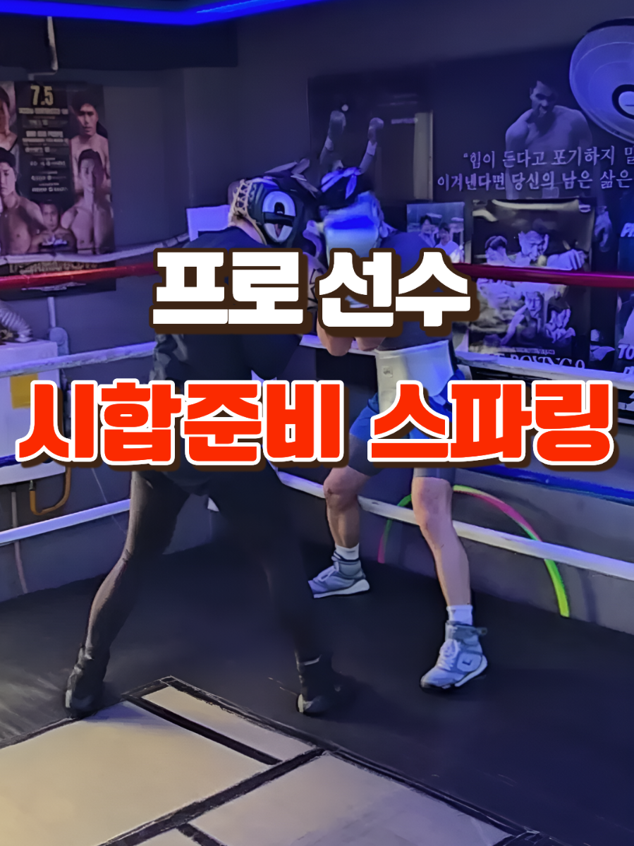 @LLBX 롱롱복싱