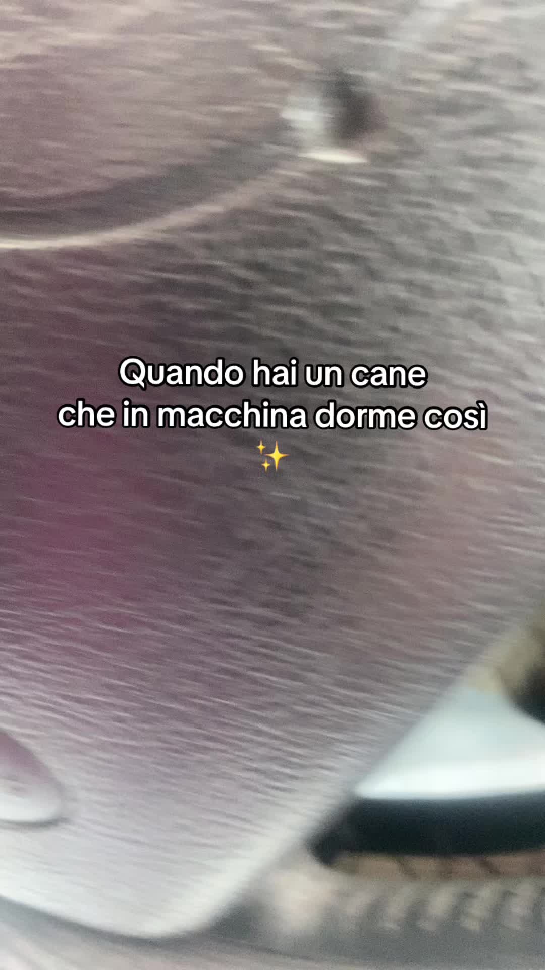 @Elena Angheben