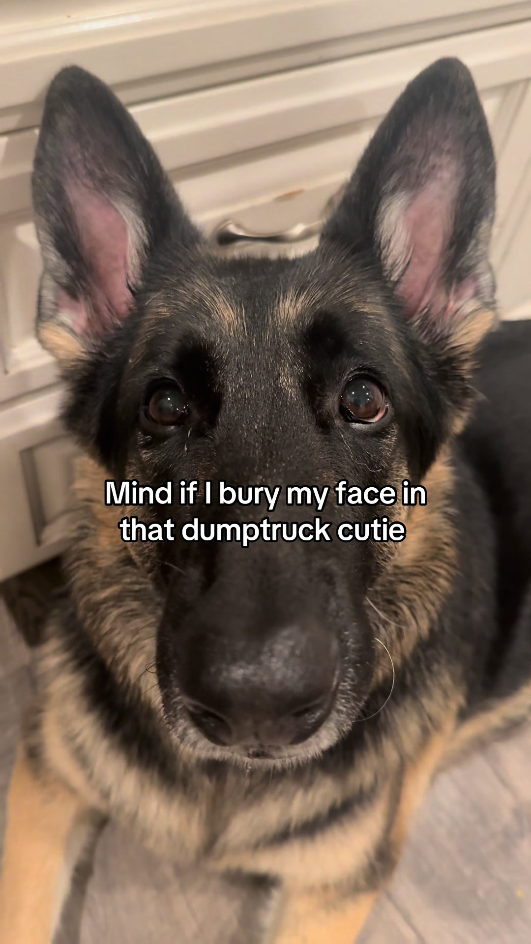 @Bhris