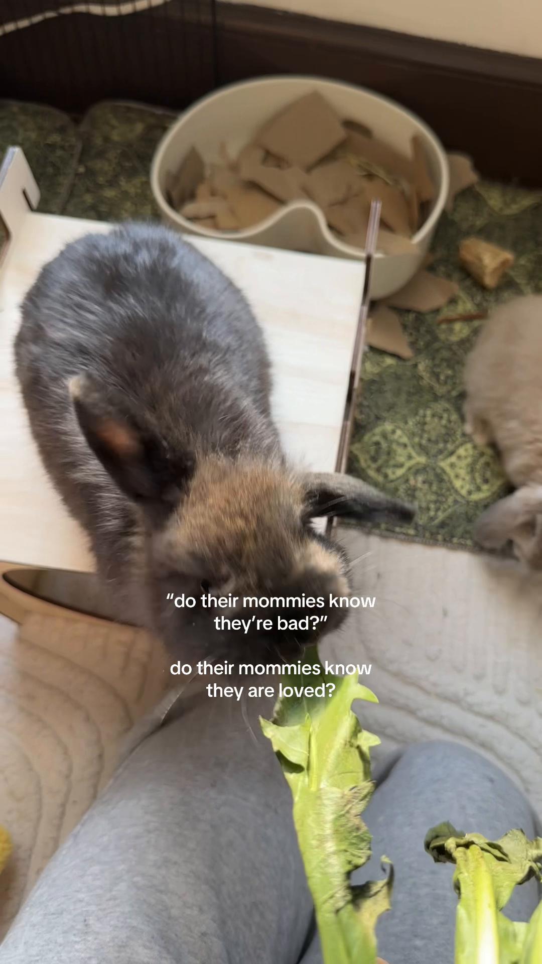 @julesandbuns