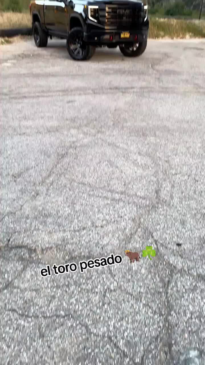 @el toro pesado 🐂☘️
