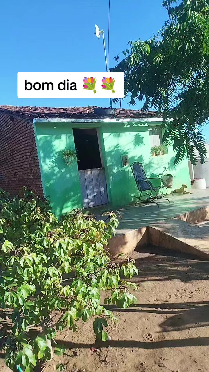 @🌱🌵🌵mariafernanda oficial371