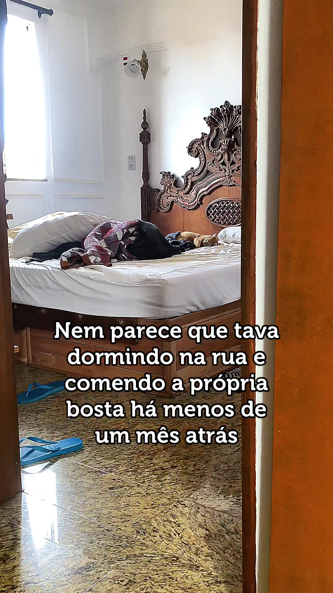 @Luiza Viana
