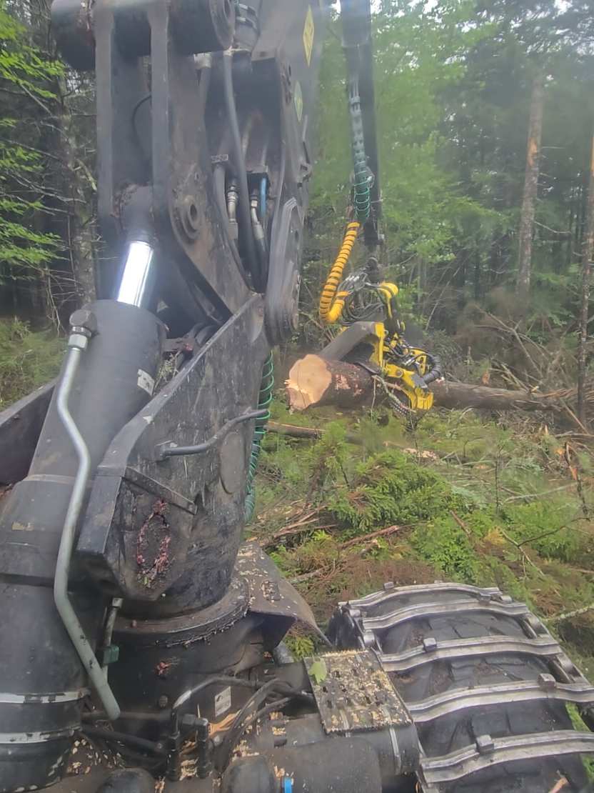 @Nova Scotia Logger