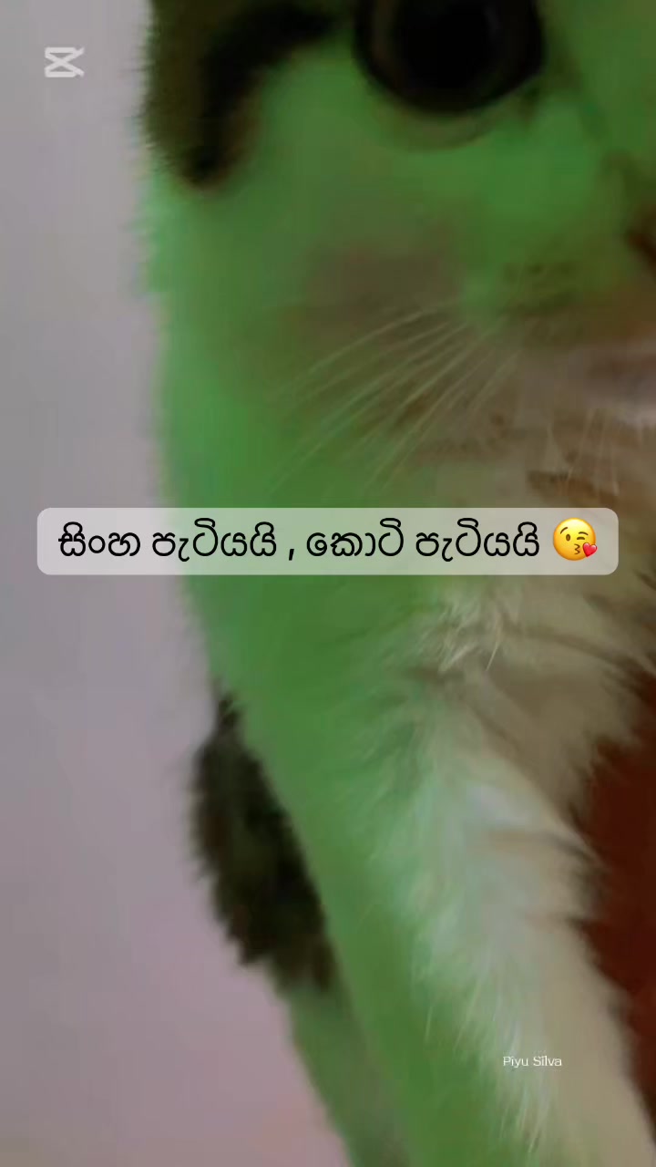 @Piyu-Silva💕