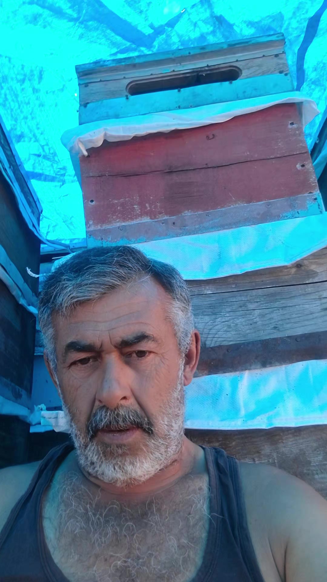 @Vural Demir