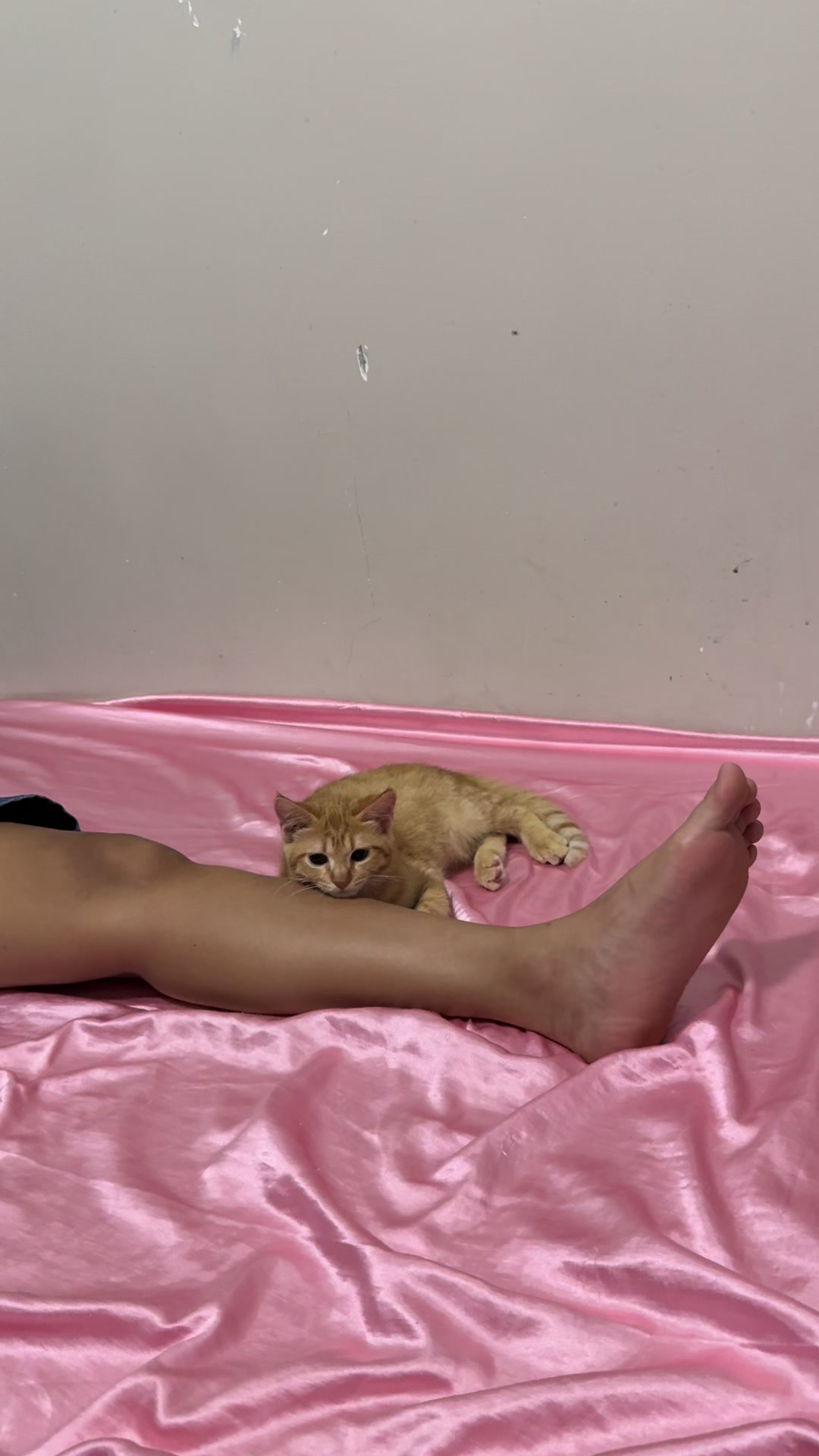 @It’s MEow